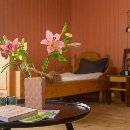 Apartment Experience Jotunheimen From Vevstogo - Sauna With A View And Eco Living In An Old School Building