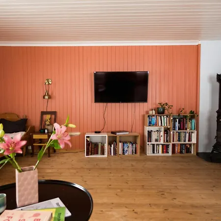 Experience Jotunheimen From Vevstogo - Sauna With A View And Eco Living In An Old School Building Apartment Vestre Slidre